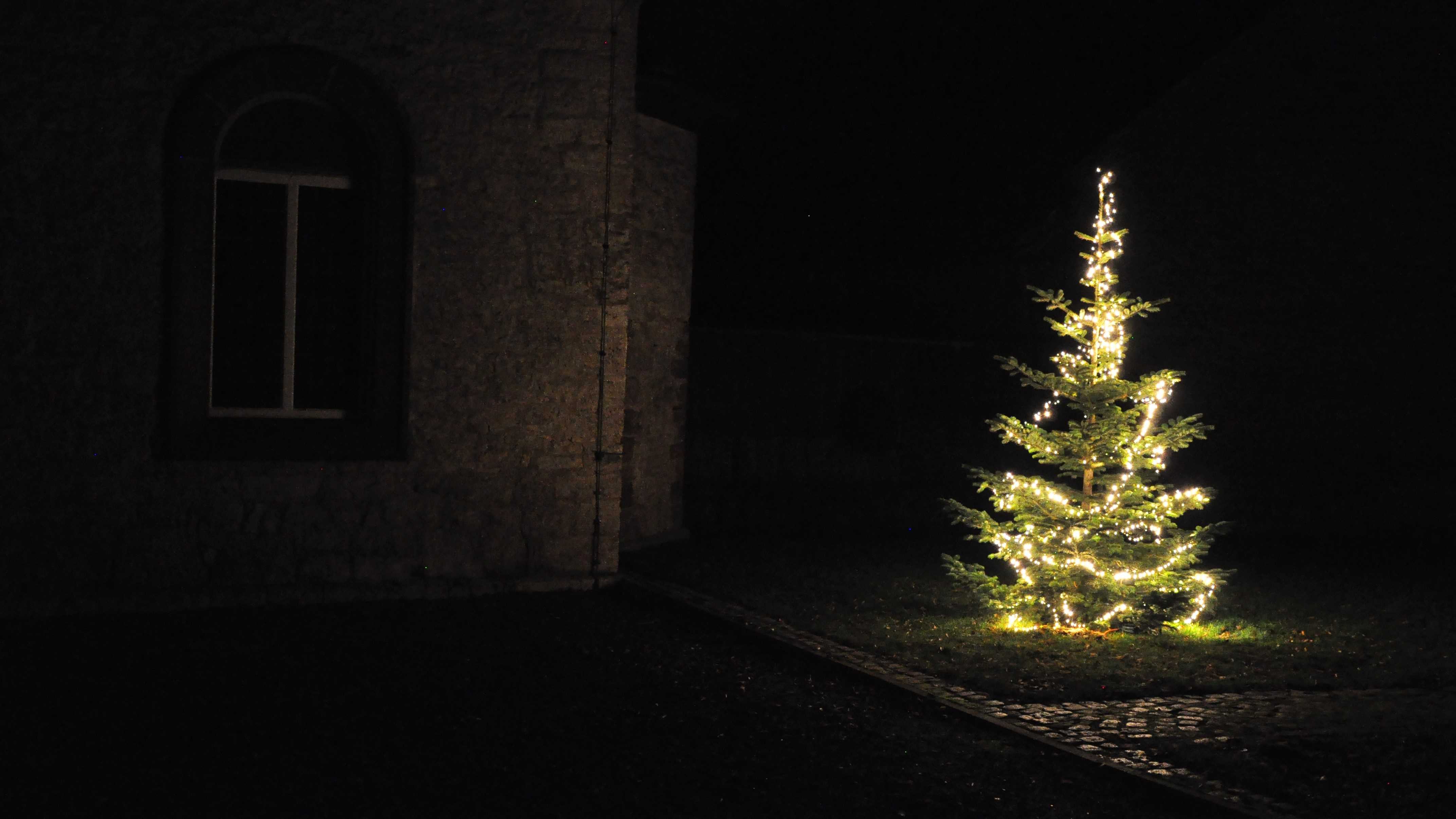www.kuventhal.de - Weihnachtsbaum 1
